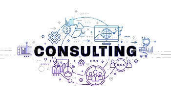 Software Development Consultancy